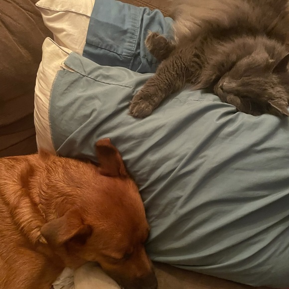 🤸‍♀️📬📮SHIP NEXT BUSINESS DAY!📮📬🤸‍♀️ - Picture 7 of 10